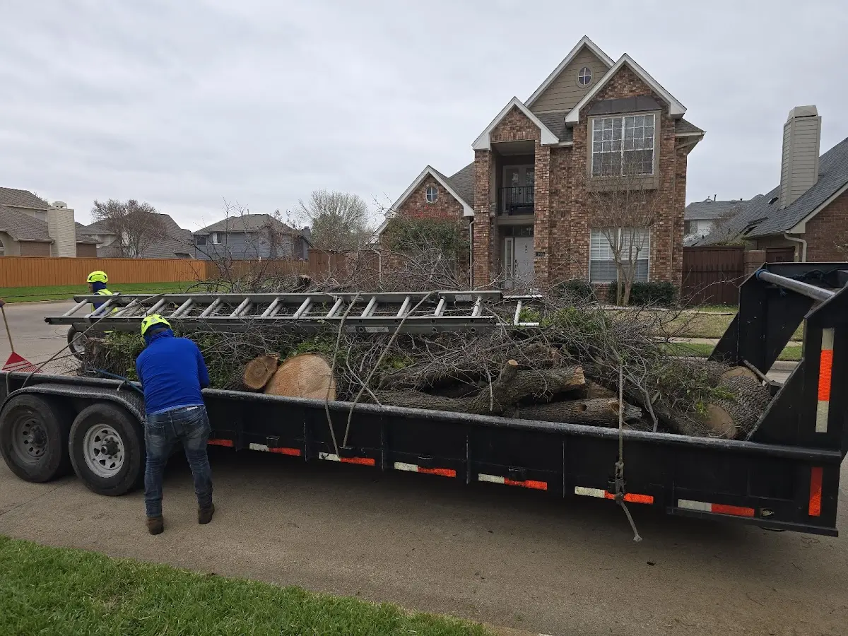 Expert Tree Removal with proper safety equipment in Baker